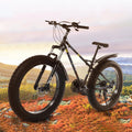 Hotwon 26-inch Fat Tire Mountain Bike 21-Speed Bicycle High-Tensile Steel Frame