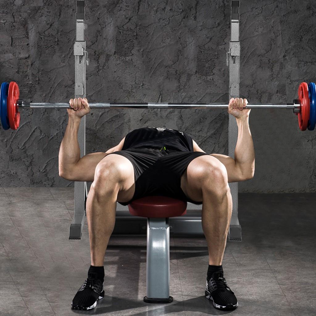 Adjustable Barbell Rack Weight Lifting Bench Press Squat Rack Pull-Up Bar Gym
