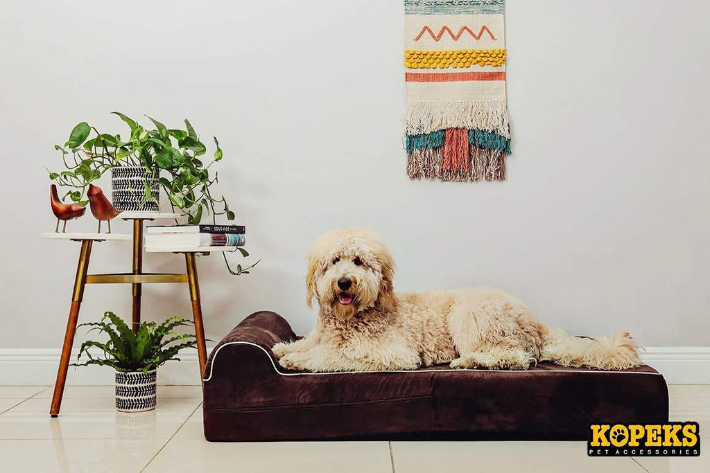 7-inch Thick High Grade Orthopedic Memory Foam Dog Bed With Pillow and Easy to Wash Removable Cover with Anti-Slip Bottom. Waterproof Liner Included - JUMBO XL for LarDogs