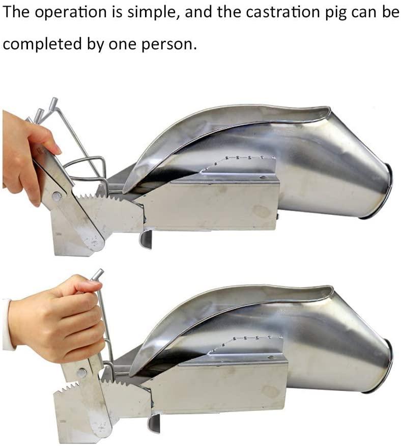 koqio pig castration fixation bracket,livestock bundle tool,stainless steel piglet cutting platform,fixed pig livestock,no struggle,s