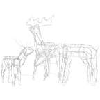 Eccomum 3 Piece Christmas Light Display Reindeers 229 LEDs