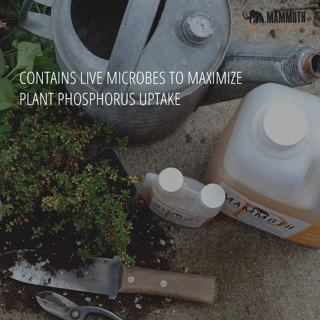 mammoth microbes organic bloom booster | hydroponic nutrient (1 litre -1000ml) | university developed and growers approved…