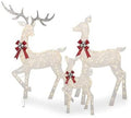 Winter Wonder Lane LED 3-Piece Elegant White Deer Family Set Holiday Seasonal Christmas Indoor/Outdoor Light-Up Decor