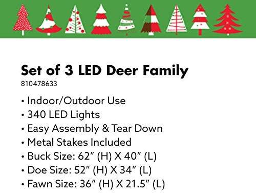 Winter Wonder Lane LED 3-Piece Elegant White Deer Family Set Holiday Seasonal Christmas Indoor/Outdoor Light-Up Decor