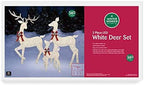 Winter Wonder Lane LED 3-Piece Elegant White Deer Family Set Holiday Seasonal Christmas Indoor/Outdoor Light-Up Decor
