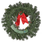24 in. General Store Snowy Artificial Christmas Wreath with LED Lights and Bow
