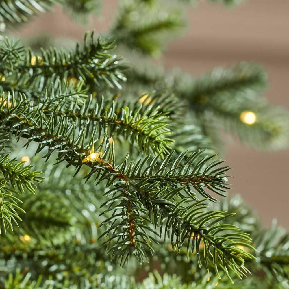 7.5 ft Elegant Grand Fir Christmas Tree
