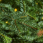 7.5 ft Elegant Grand Fir Christmas Tree