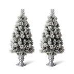 4 ft. Pre-Lit Snow Flocked Pine Artificial Christmas Tree with 100 Warm White Lights (2-Pack)