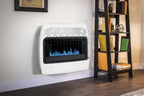 Dyna-Glo 30,000 BTU Natural Gas Blue Flame Vent Wall Heater