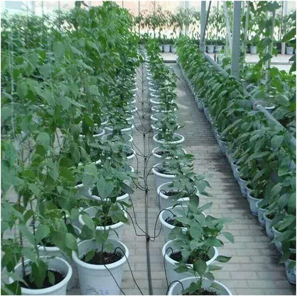 Xihe Garden Irrigation Sprinklers 50 cm Hose 4 Curved Blue Arrow Drip Irrigation Emitter Kit Bonsai Flower Plant Drip Irrigation Dripper Water Saving (Color : 200PCS)