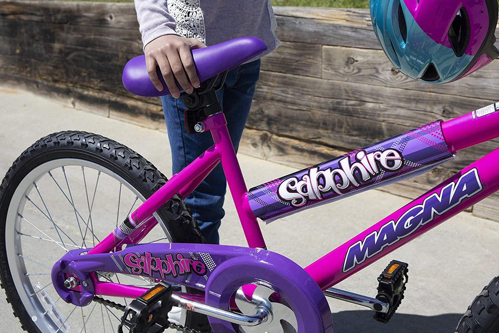 Dynacraft Magna Kids Bike Girls 20 Inch Wheels in Pink and Blue for Ages 6 and Up