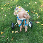 ADAHX 2 Wheel Pet Dog Cat Wheelchair Aluminium Walk Cart Scooter for Handicapped Hind Leg Adjusted Wheelchair Fit for 3-15kg Pet