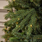 7.5 ft Merridale Balsam Fir LED Christmas Tree