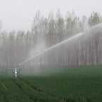 ZHJING Agricultural Irrigation Rocker Sprinkler Garden Lawn Sprinkler 1.5 Inch 2 Inch 2.5 Inch Rotary Spray Gun (Size : DN50)