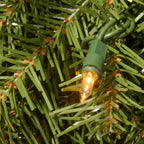 Pre-Lit Norwood Fir Deluxe Artificial Christmas Wreath - 60-Inch, Clear Lights