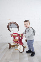 iimo 3-in-1 Foldable Tricycle with Canopy (Eternity Red)