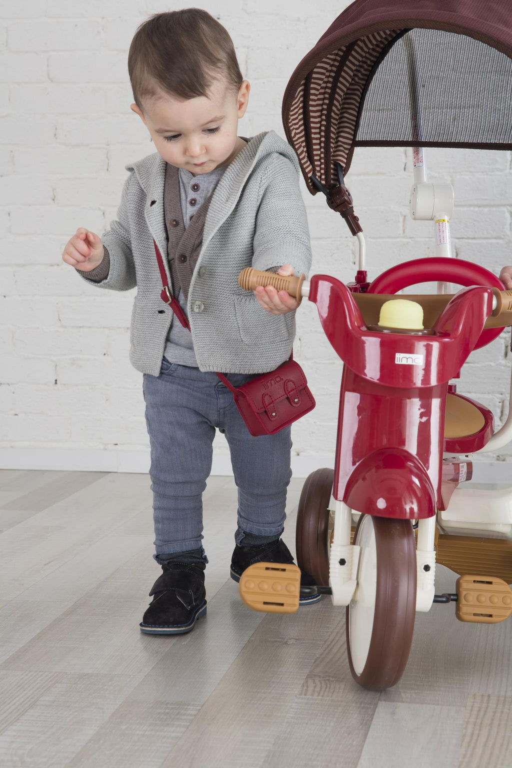 iimo 3-in-1 Foldable Tricycle with Canopy (Eternity Red)
