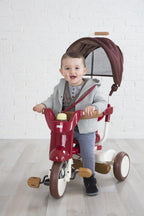 iimo 3-in-1 Foldable Tricycle with Canopy (Eternity Red)