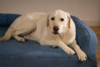 K9 Ballistics Bolstered Denim Orthopedic Memory Foam Bolstered Dog Bed with Waterproof Liner