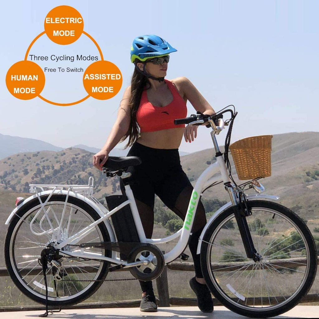 26" 250W Cargo Electric Bicycle Sporting  6 Speed Gear EBike Brushless Gear Motor with Removable Waterproof LarCapacity 36V10A Lithium Battery and Battery Charger