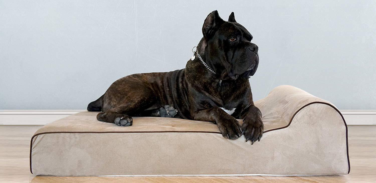 Bully beds Orthopedic Memory Foam Dog Bed - Waterproof Bolster Beds for Larand Extra LarDogs - Durable Pet Bed for Big Dogs