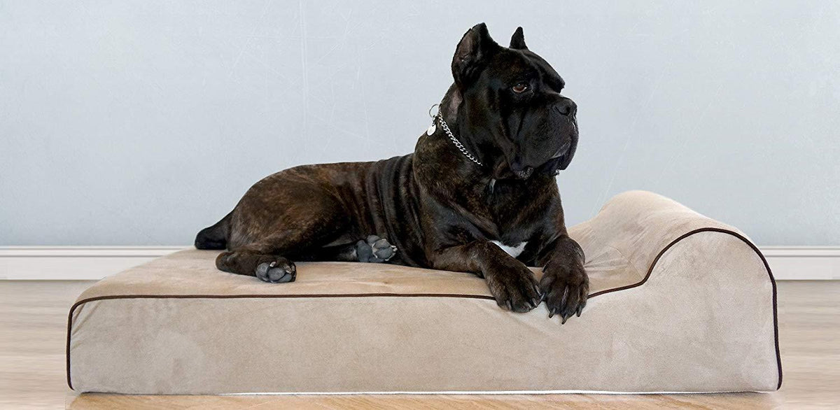 Bully beds Orthopedic Memory Foam Dog Bed - Waterproof Bolster Beds for Larand Extra LarDogs - Durable Pet Bed for Big Dogs