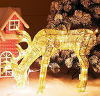 ZJDU Lit Artificial Christmas Décor, Outdoor Christmas Gold Champagne Lighted Deer Buck Doe &amp; Fawn Set Outdoor Yard Decoration Light Up Display,Male Deer