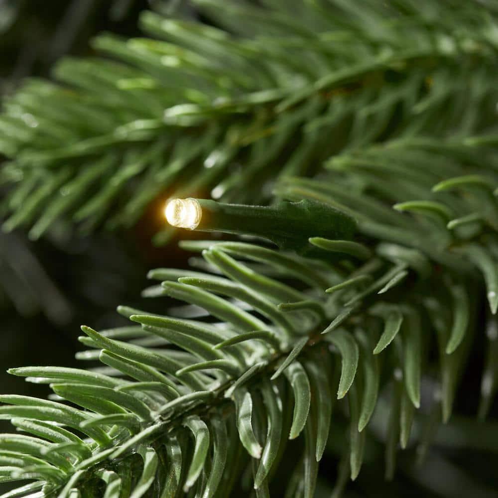 9 ft. Westwood Fir Christmas Tree
