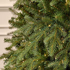 7.5 ft Grand Duchess Balsam Fir Christmas Tree