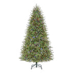 7.5 ft Grand Duchess Balsam Fir Christmas Tree