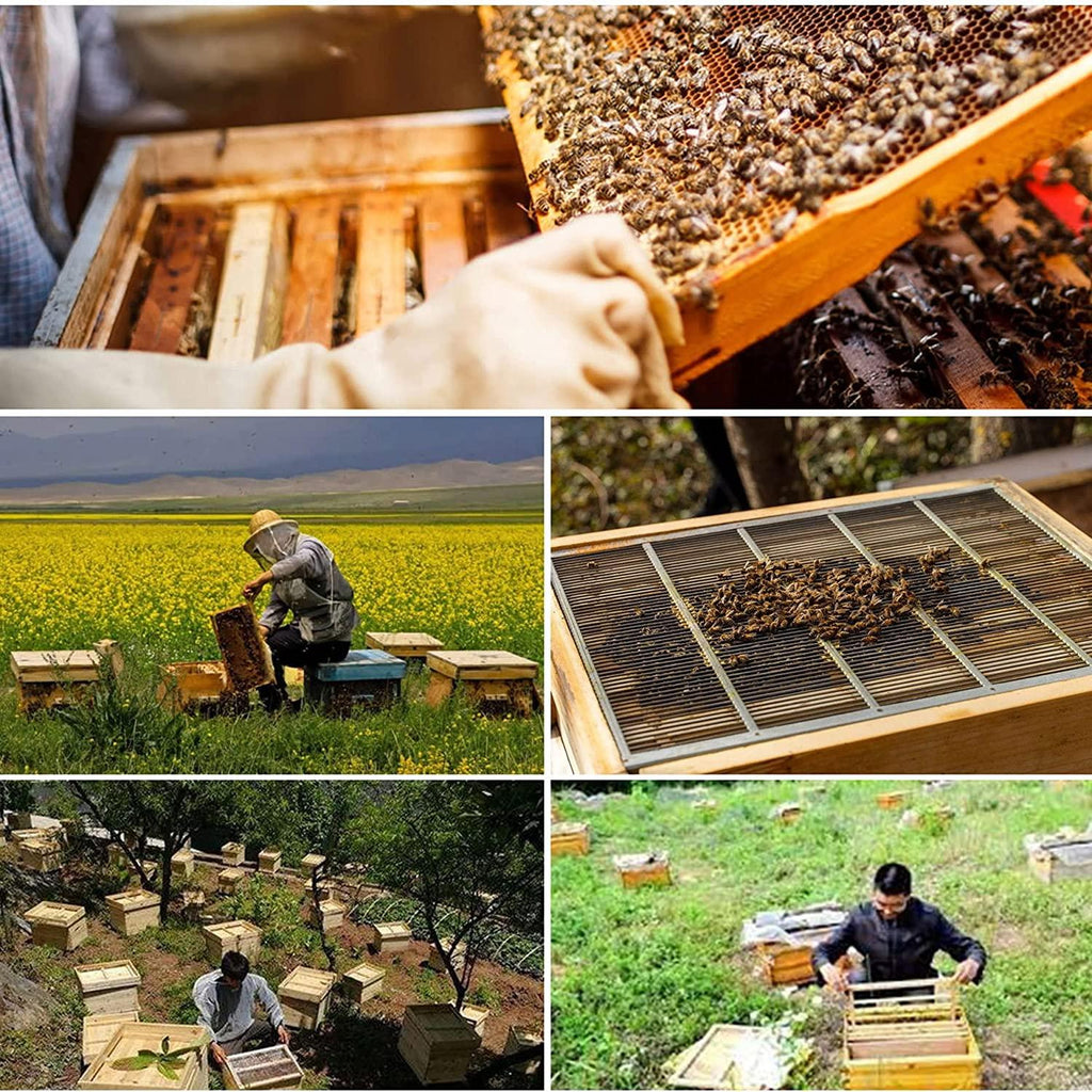 yyhj bee box,beehive complete kit,10 frames wooden beekeeping house bee hives boxes,beehive kit dipped in 100% beeswax,beehives and supplies starter kit for beekeepers