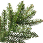 National Tree Company Kings7 Foot Slim Christmas Tree &amp; Color String Lights