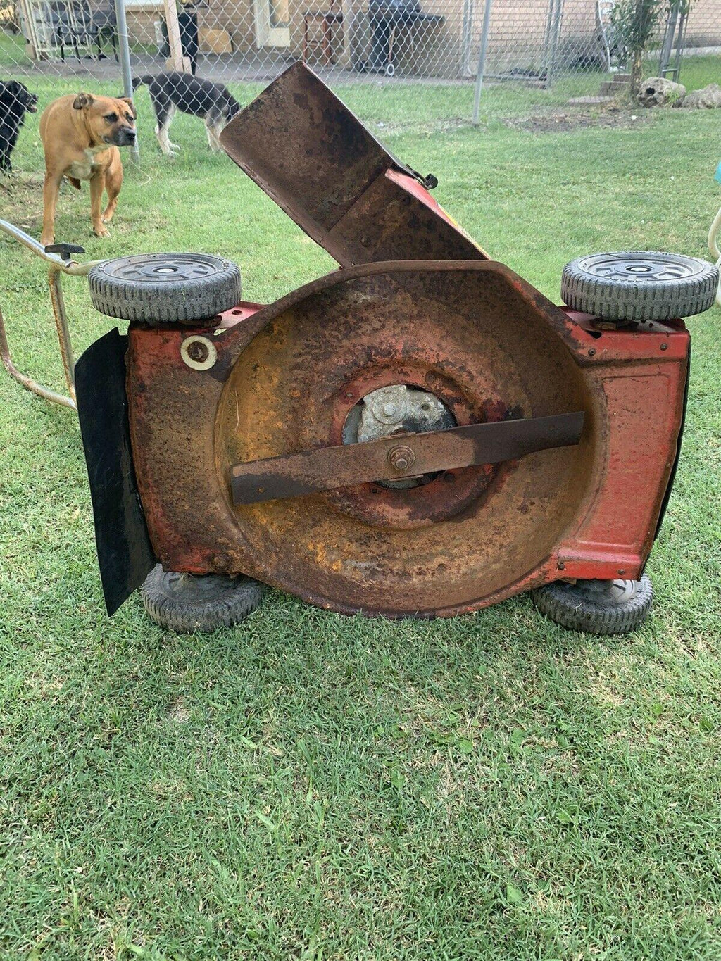 Vintage , Roebuck And Co. Mower