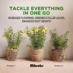 mikrobs - microbial superpack for living soil. revitalize plants (5 lb.)