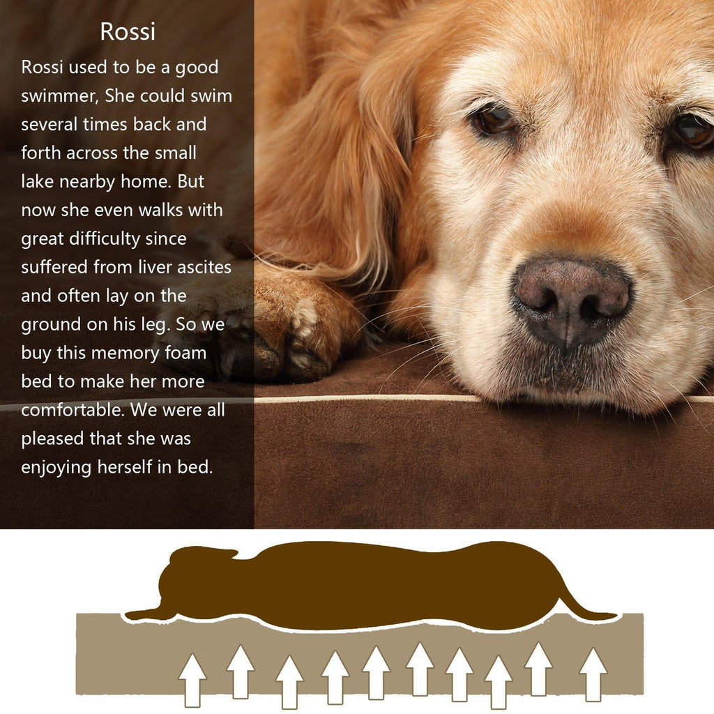 Papa Pet Orthopedic Dog Bed with Solid Memory Foam, True Waterproof Lining, Removable Suede Cover, Prevent &amp; Relieve Pain of Arthritis &amp; Hip Dysplasia, Premium Edition