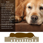 Papa Pet Orthopedic Dog Bed with Solid Memory Foam, True Waterproof Lining, Removable Suede Cover, Prevent &amp; Relieve Pain of Arthritis &amp; Hip Dysplasia, Premium Edition