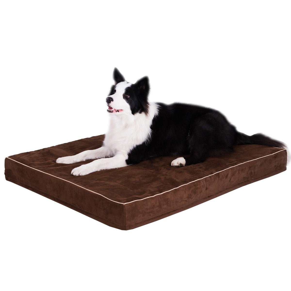 Papa Pet Orthopedic Dog Bed with Solid Memory Foam, True Waterproof Lining, Removable Suede Cover, Prevent &amp; Relieve Pain of Arthritis &amp; Hip Dysplasia, Premium Edition