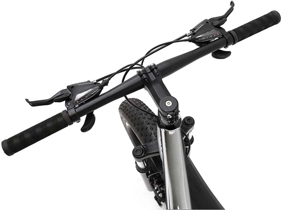 hosote Fat Tire Bike for Men, 26 Inch  21 Speed Mountain Bike, 4 inch Wide Tire Beach Snow Mountain Bicycle, Suspension Fork Dual Disc Brakes MTB with 3 Spoke Wheel