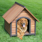 Precision Pet Country