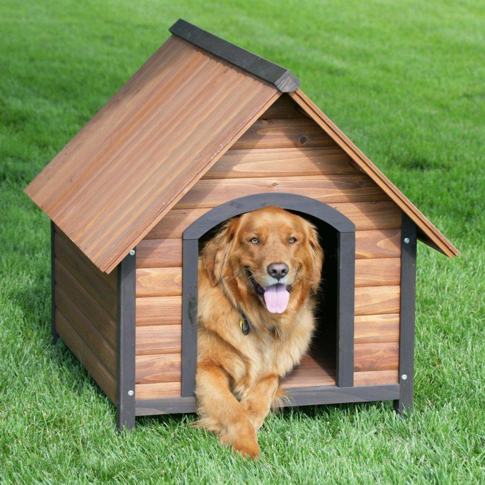 Precision Pet Country