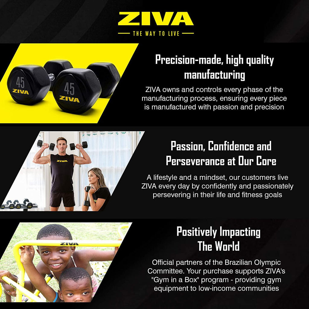 ZIVA Performance Hex Dumbbells Weight Set, Solid Steel Core, Premium Urethane Rubber Encasing, Corrosion Resistant - Pair of Two Dumbbells, 20 Lbs.
