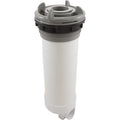 Waterway Plastics Skim Filter Complete, WW DynaFlo Plus, 50sqft, Gray