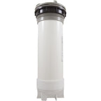 Waterway Plastics Skim Filter Complete, WW DynaFlo Plus, 50sqft, Gray
