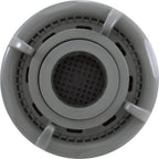 Waterway Plastics Skim Filter Complete, WW DynaFlo Plus, 50sqft, Gray