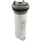 Waterway Plastics Skim Filter Complete, WW DynaFlo Plus, 50sqft, Gray