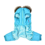Pinkaholic York NASD-JP7513-AQ-L Evelyn Pet Coat, Aqua, Large