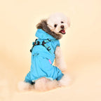 Pinkaholic York NASD-JP7513-AQ-L Evelyn Pet Coat, Aqua, Large