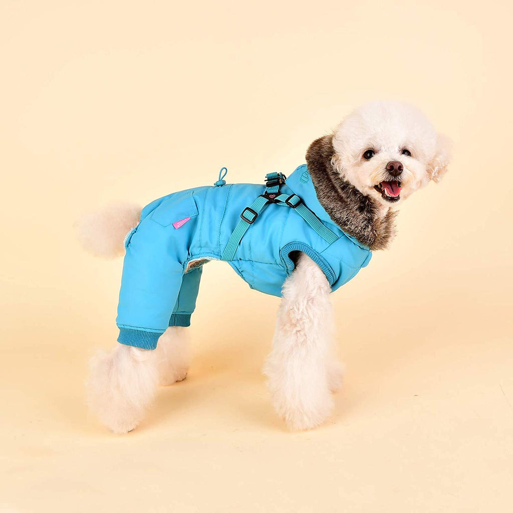 Pinkaholic York NASD-JP7513-AQ-L Evelyn Pet Coat, Aqua, Large