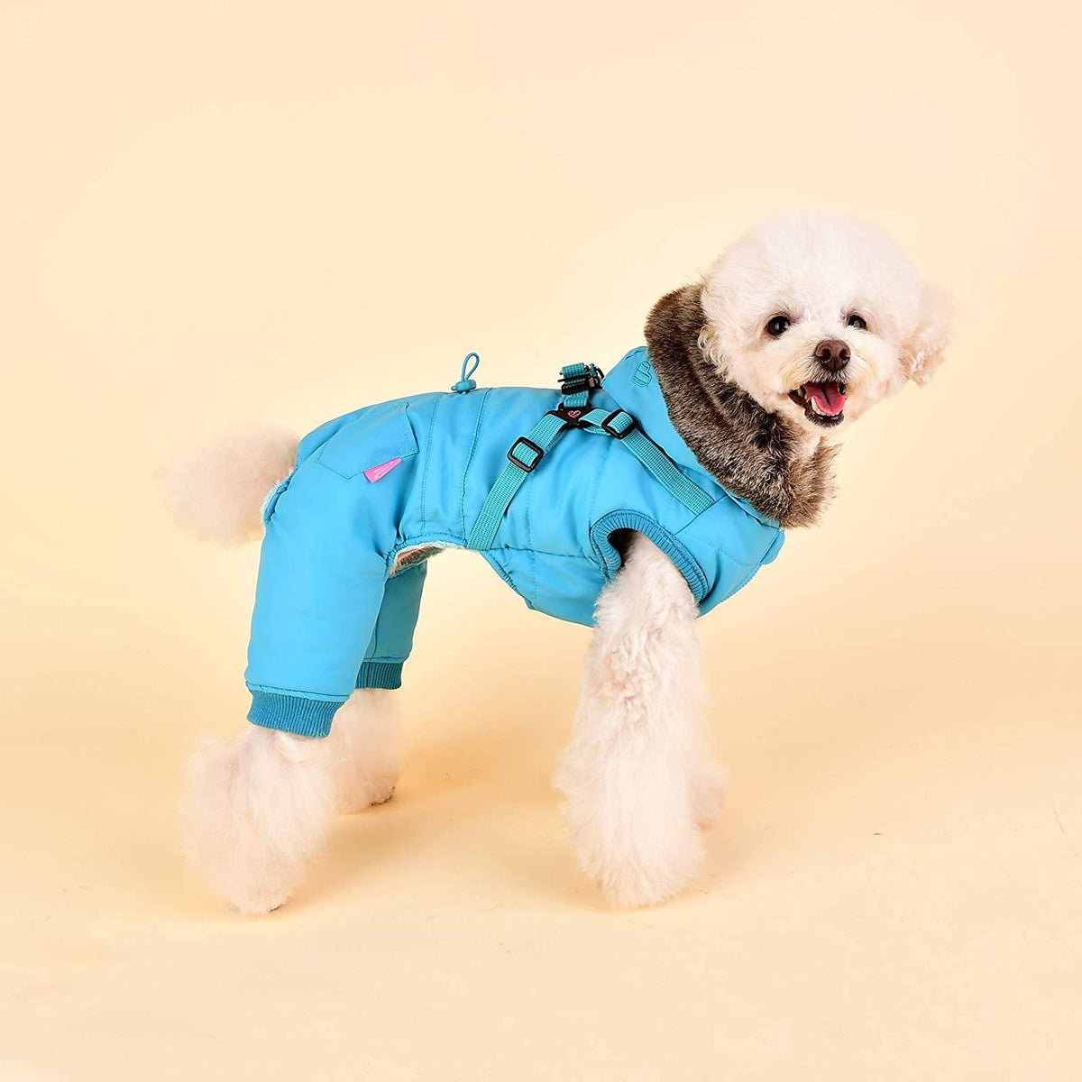 Pinkaholic York NASD-JP7513-AQ-L Evelyn Pet Coat, Aqua, Large